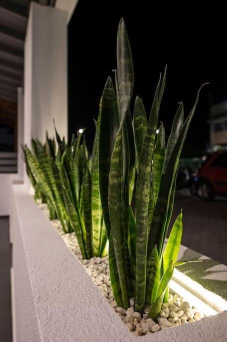 Poem Apartmán